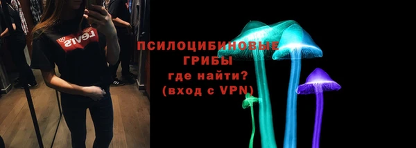 крисы Абаза