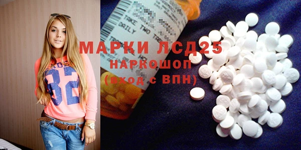крисы Абаза