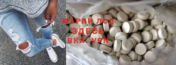 крисы Абаза
