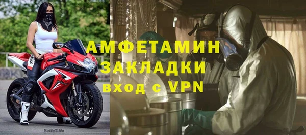 крисы Абаза