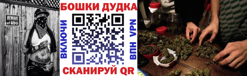 Бошки Шишки гибрид Кедровый